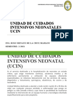 UCIN atención neonatal