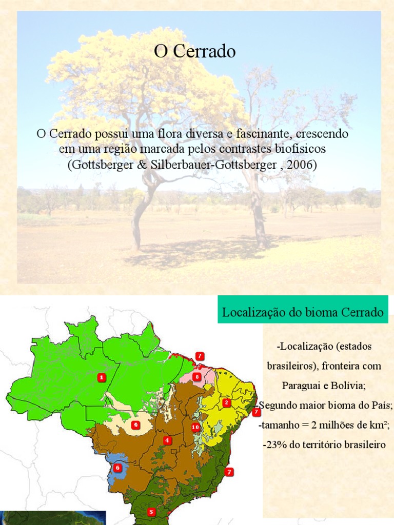 As características do Cerrado brasileiro e as adaptações das plantas ...