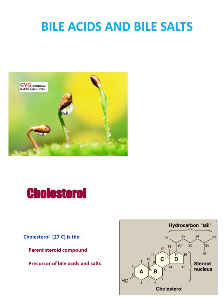 Bile Acids and Bile Salts Science Biochemistry Lifescience PDF Bile Digestion