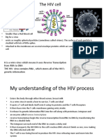 My Understanding of The HIV Process