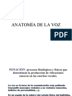 Roura Anatomia Voz