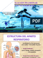 La Ventilacion Pulmonar