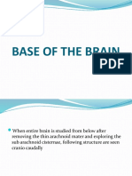 Base of Brain