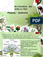 369641304 Plante Cu Flori Ppt