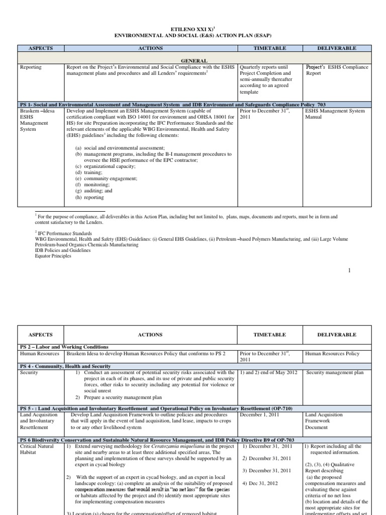 Environmental And Social Action Plan Template