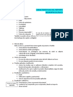 CARACTERÍSTICAS DEL REPORTE NEUROPSICOLÓGICO