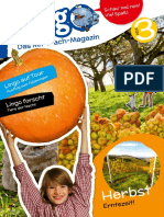 Lingo Magazin 3 2015 Web 150 Skater Oktoberfest Luftballon Kartoffelabruck