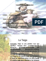 La Taiga