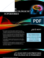 Procesos Neuropsicológicos Superiores