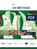 Manual Del Cultivo de Maiz IICCA