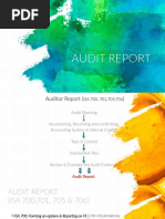 Aud339 Audit Report