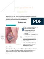 Nutricion Up 3