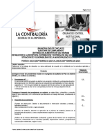 Guía Procedimiento de Auditoria