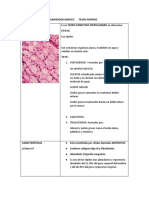 Cuadrocomparativo Tejido Adiposo FF