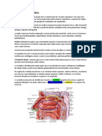 SISTEMA RESPIRATRIO - Resumo Anato