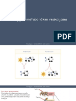 Energija U Metaboličkim Reakcijama 3