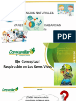 Diapositivas Respiración Anaerobia, Fermentación