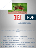 Presentacion dengue