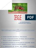 Presentacion Dengue
