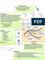 DNA Replication Process