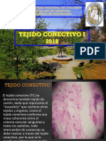 Tejido Conectivo I 2018