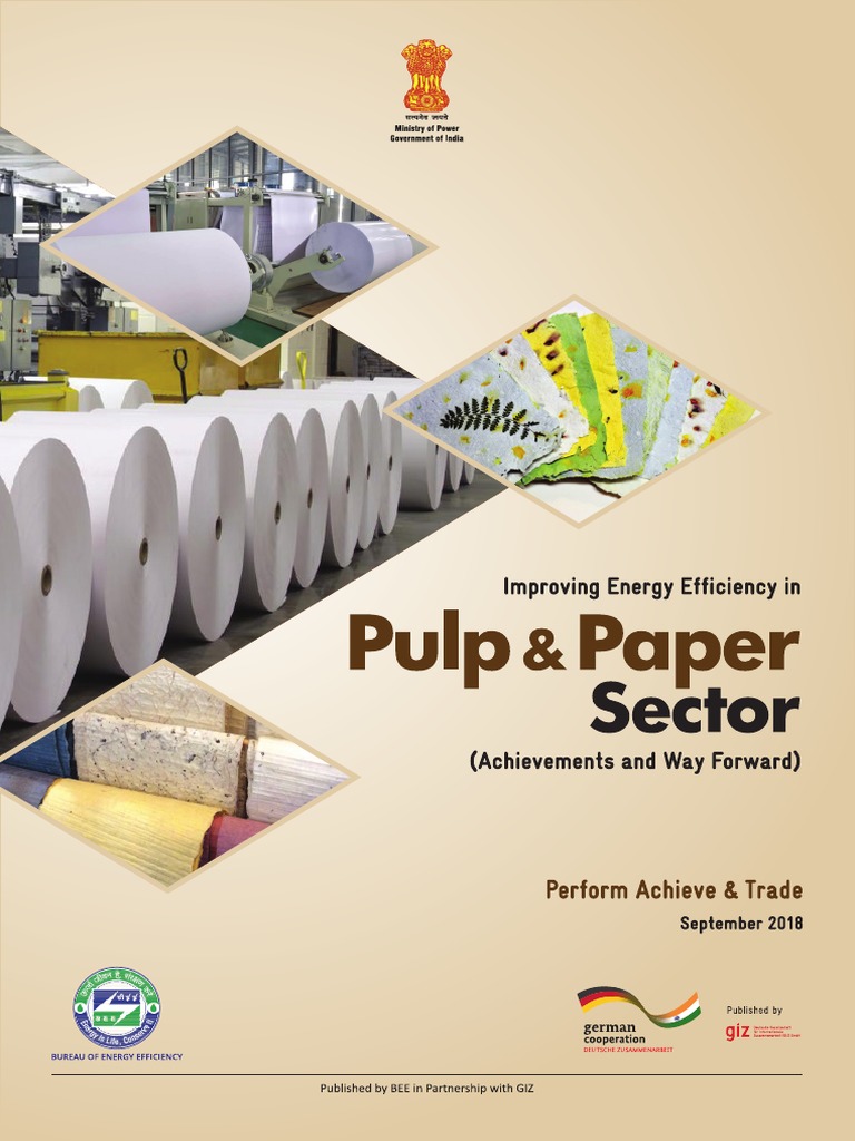Energy Efficiency in India's Paper Sector | PDF | Sodium Hydroxide ...