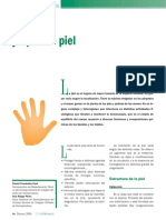 Tipos de piel y estructura en