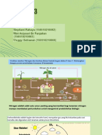 Kelompok 3 Soal No 11-4