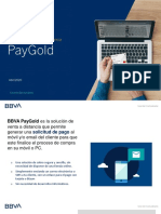 Presentación PayGold