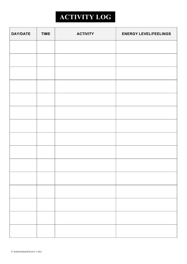 Daily Activity Log Template | PDF