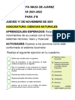 Actividades Del Jueves 11 de Noviembre de 2021 de 3°b