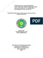 Resume CKD Keperawatan Dasar Profesis, Universitas Sari Mulia