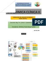 MAPA MENTAL - BIOQUIMICA II_ STHEFANY PAOLA BURGA PUELLES