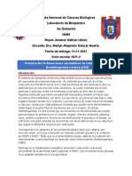 Bitacora 14 Reacciones enzimáticas de oxido-reducción. Deshidrogenasa Láctica (LDH)