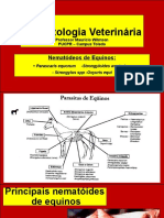 Nematodeos de Equinos (3)