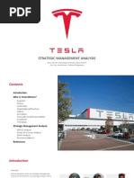 Tesla Management Analysis