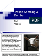 Tehnik Formulasi Ransum Kambing & Domba