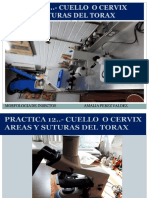 Practica 12 Power Cuello y Areas y Suturas Torax Chapulin Modif Apvcorr