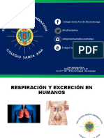 Diapositivas de Respiración y Excrecion en Humanos 4°