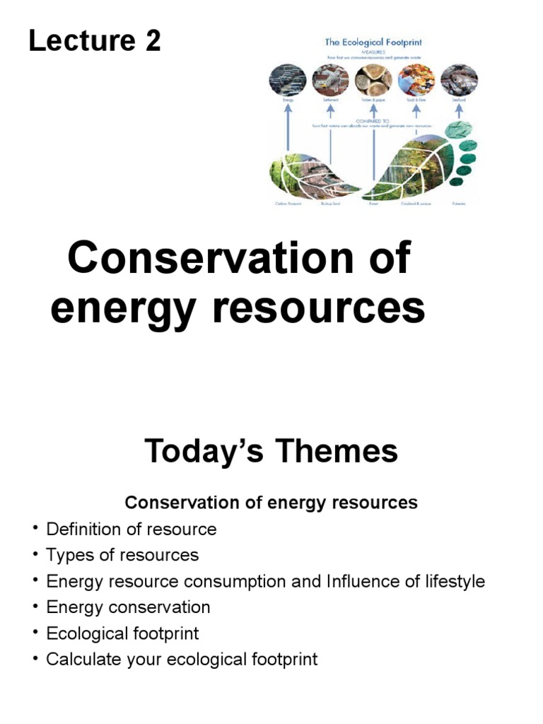 assignment on energy resources pdf