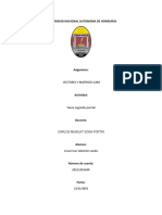 Tarea Segundo Parcial VECTORES Y MATRICES Josue Salomon