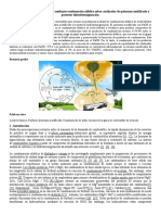 Síntesis de Alcanos de Cadena Larga Mediante Condensación Aldólica Sobre Catalizador de Quitosano Modificado y Posterior Hidrodesoxigenación