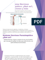 Sistema Nervioso Parasimpático 1