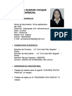 Gianella Sharon Choque Carbajal CV