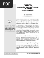 Download Investigating Digestive Processes by Diana Asatryan SN54025702 doc pdf