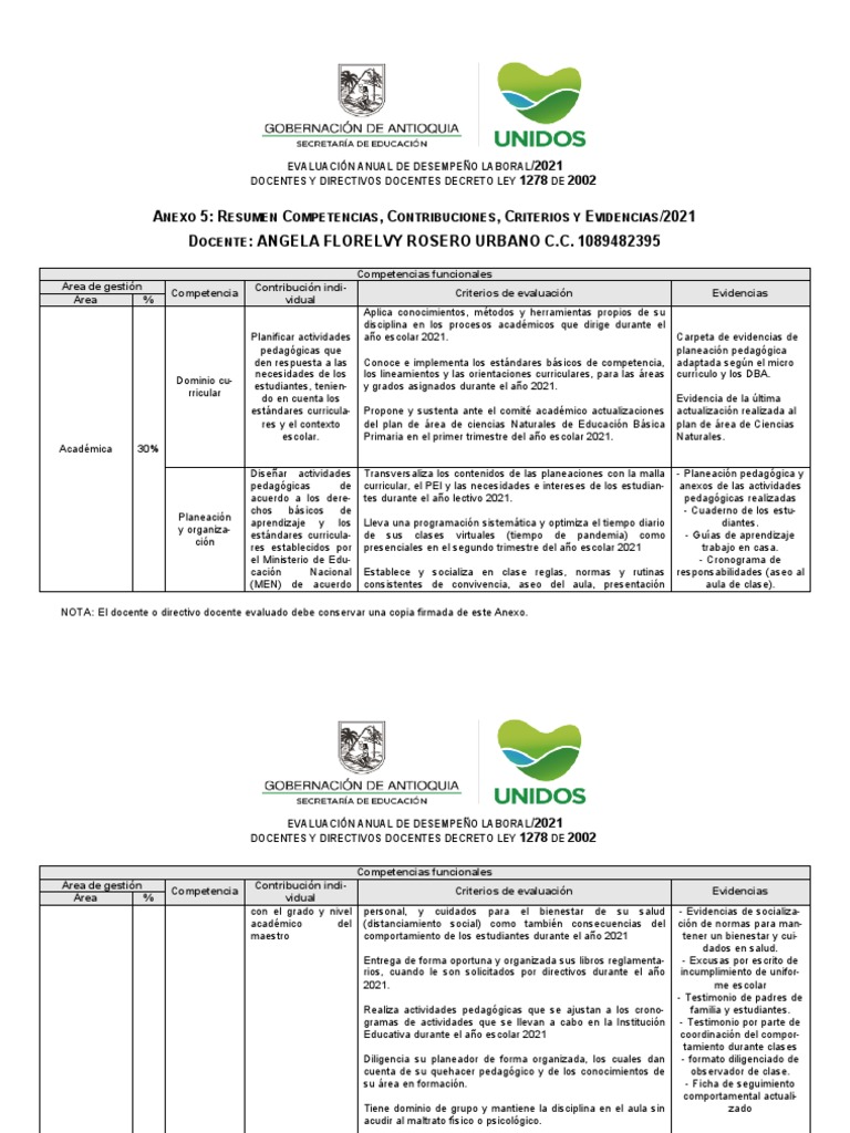 Evaluación Desempeño Docente 2021 | PDF | Evaluación | Plan de estudios