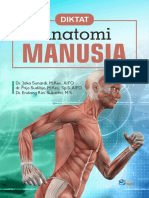 Anatomi_Manusia