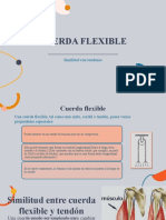 Cuerda Flexible