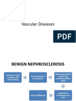 Vascular Diseases: Renal Artery Stenosis and Thrombotic Microangiopathies