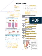 Muscular System: Muscle Types